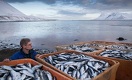 Минувшая неделя в Казахстане стала рыбной