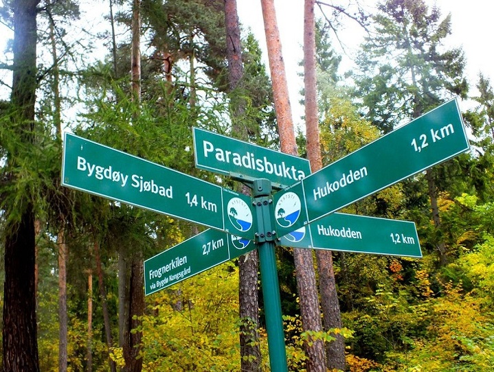 Дорожный знак в Осло (Норвегия).
