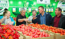 «Фермеры Чилика» поставляют свежие овощи в сеть «Арзан»