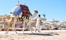Казахстанские турфирмы продолжают отправлять отдыхающих в Египет