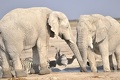 Бюджетный кризис: время охоты на «белых слонов» 