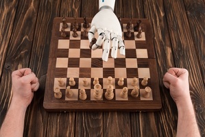Why Human Chess Survives