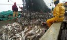 Рыболовству Балхаша грозит банкротство