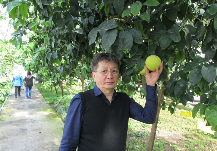 Султан Мурсалимов с грейпфрутом.